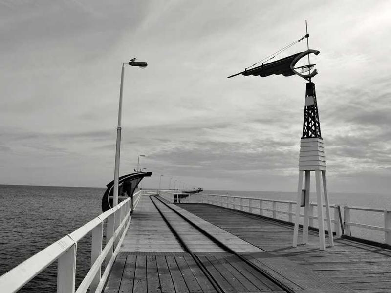 Expert Tips for Choosing the Right global food trade