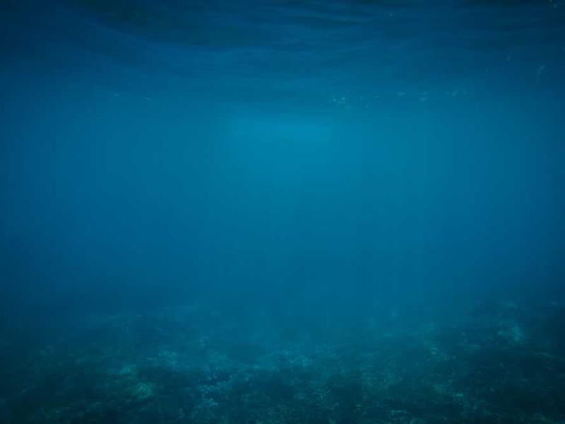 Expert Tips for Choosing the Right healthcare logistics