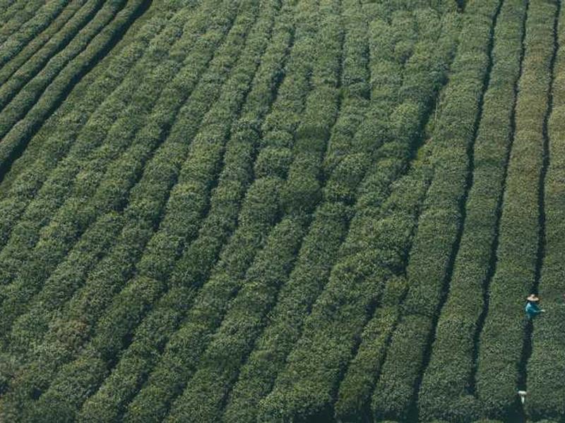 Expert Tips for Choosing the Right pulpits