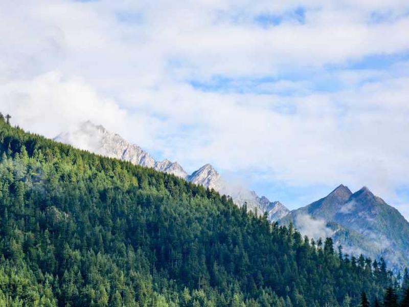 From Factory to Doorstep: The Journey of Your Disposable Items