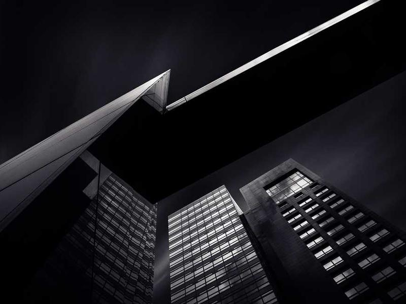 Global Trade Insights: The Rising Demand for Dehydrated Vegetables