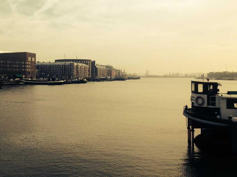 Global Trade Insights: The Rising Demand for Disposable Items