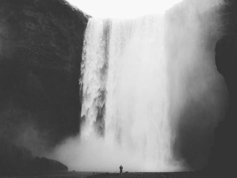 Sustainable Solutions: The Future of bulk spices