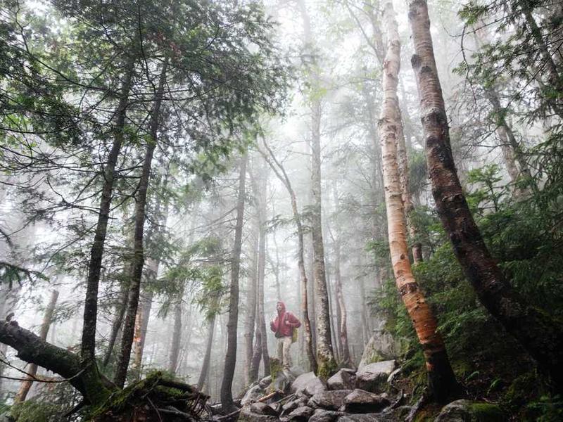 The Ultimate Guide to Premium Stationery: school stationery Edition