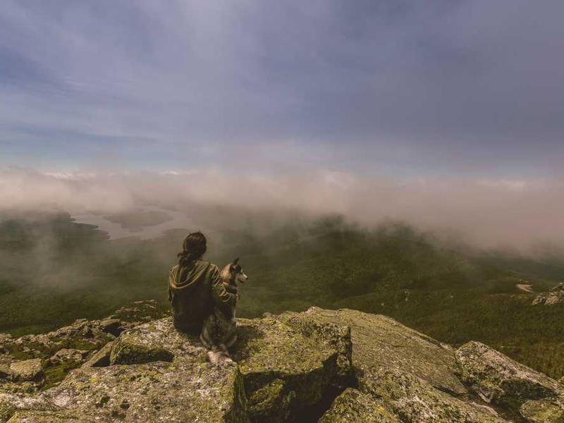 Top 5 Trends in Dehydrated Vegetables You Need to Know in 2025